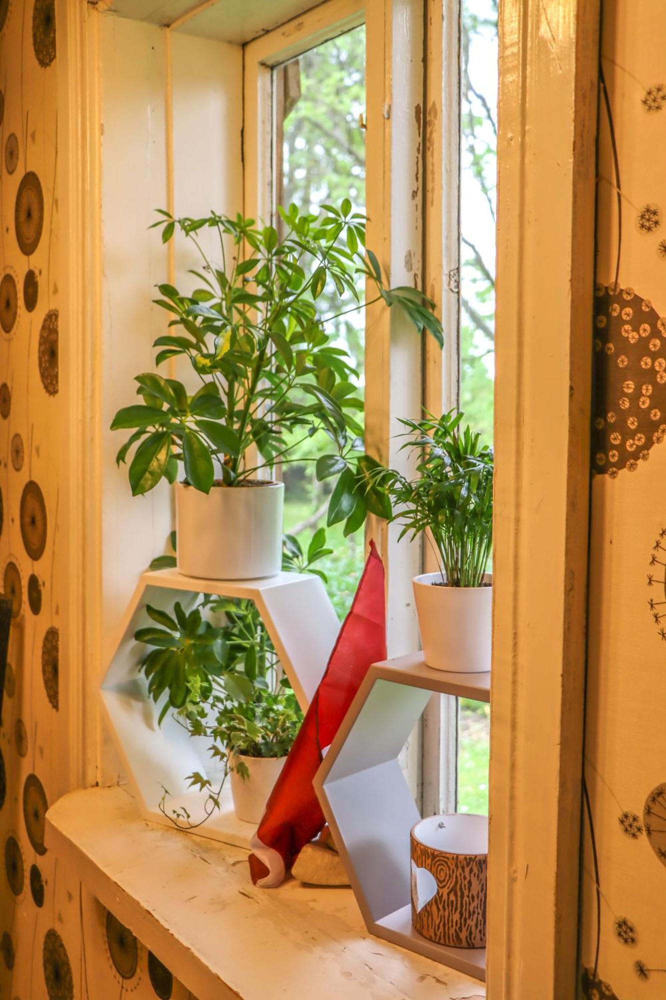 Lauku Viesu Maja Bajari Guest House Rucava Bagian luar foto