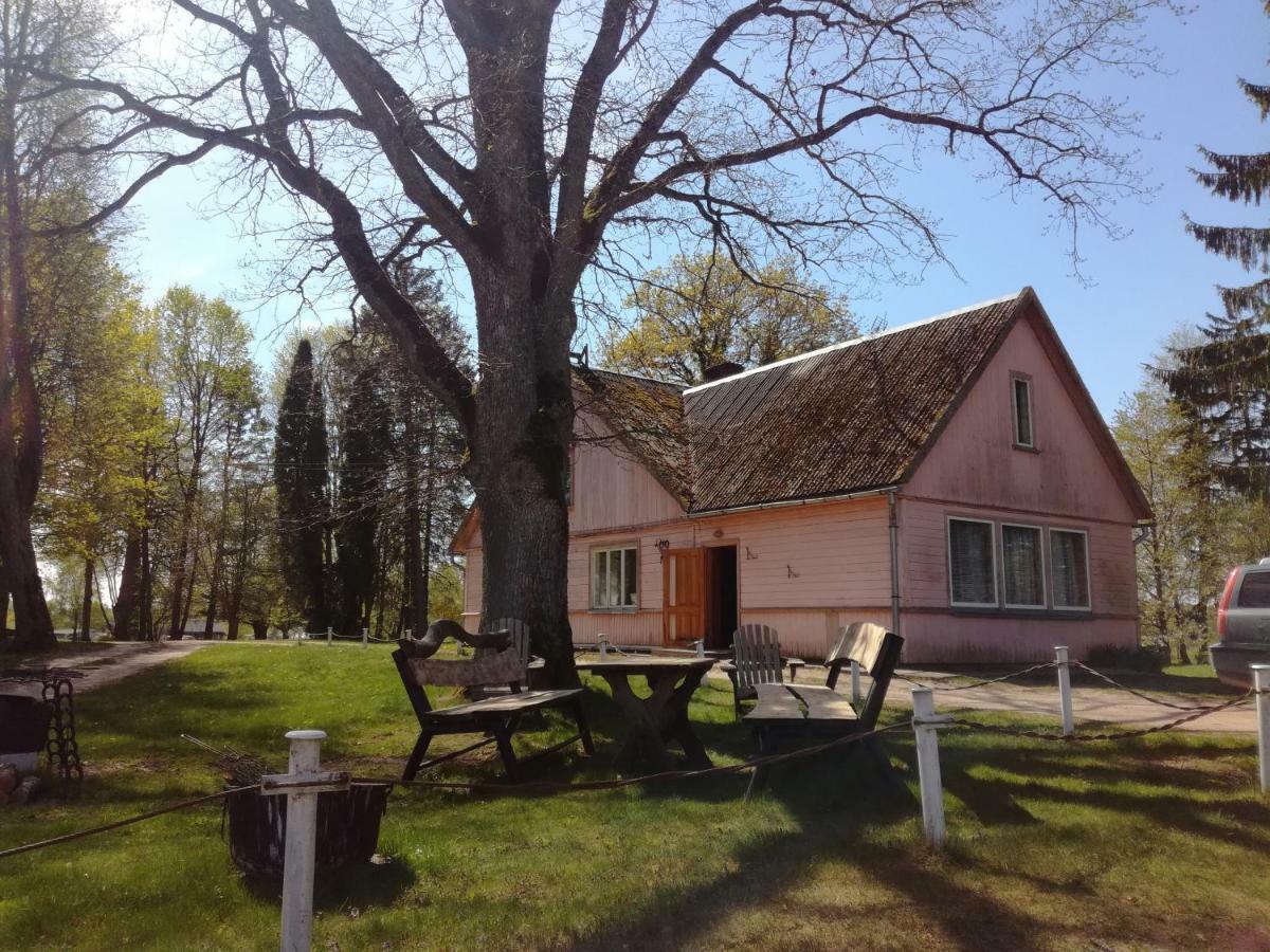Lauku Viesu Maja Bajari Guest House Rucava Bagian luar foto